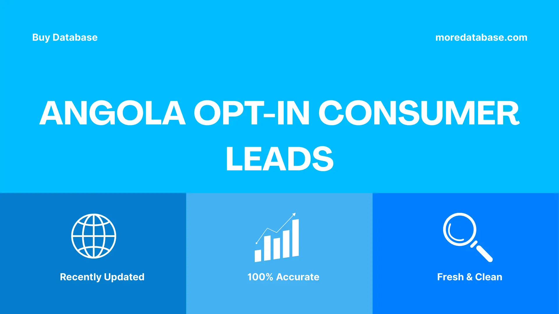Angola Opt-In Consumer Leads
